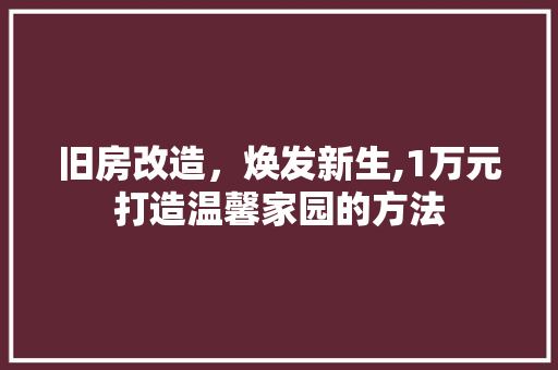 旧房改造，焕发新生,1万元打造温馨家园的方法