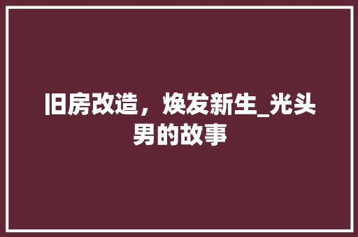 旧房改造，焕发新生_光头男的故事