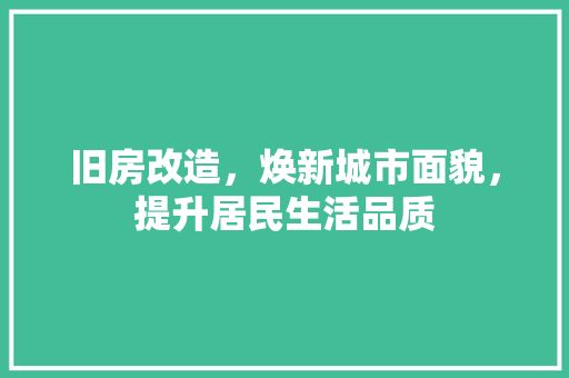 旧房改造，焕新城市面貌，提升居民生活品质 厨房维修