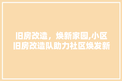 旧房改造，焕新家园,小区旧房改造队助力社区焕发新活力 墙体维修