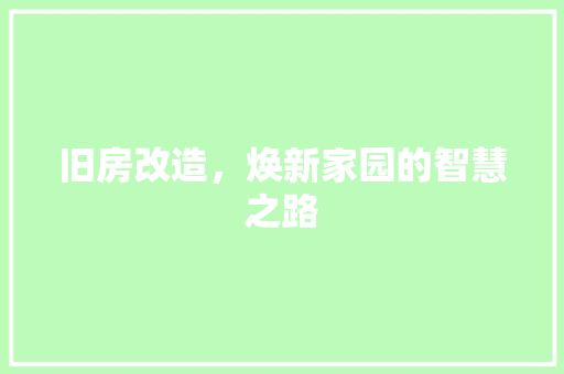 旧房改造，焕新家园的智慧之路 汽车维修
