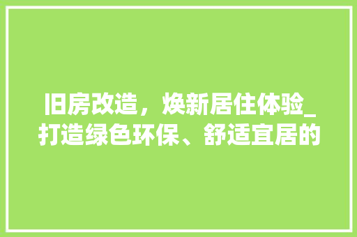 旧房改造，焕新居住体验_打造绿色环保、舒适宜居的居住空间 厨房维修