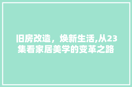 旧房改造，焕新生活,从23集看家居美学的变革之路 家电维修