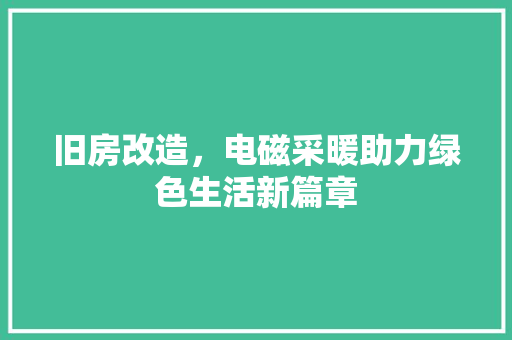 旧房改造，电磁采暖助力绿色生活新篇章 综合便民