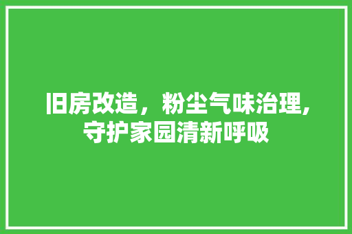 旧房改造，粉尘气味治理,守护家园清新呼吸 厨房维修