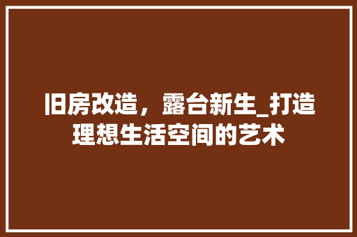 旧房改造，露台新生_打造理想生活空间的艺术 厨房维修