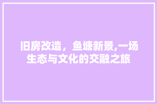 旧房改造，鱼塘新景,一场生态与文化的交融之旅 汽车维修