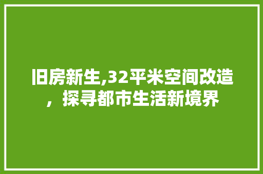 旧房新生,32平米空间改造，探寻都市生活新境界 综合便民
