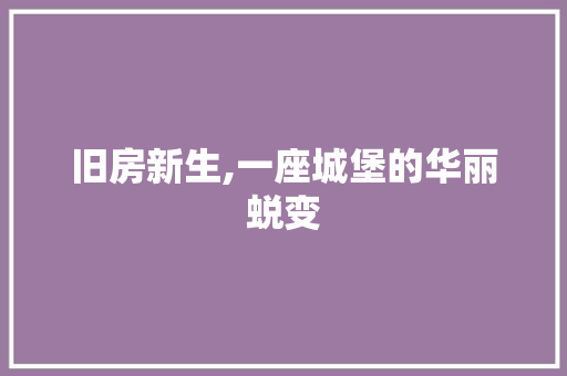 旧房新生,一座城堡的华丽蜕变 汽车维修