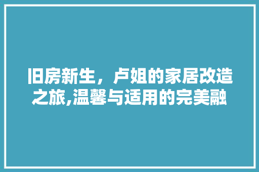 旧房新生，卢姐的家居改造之旅,温馨与适用的完美融合 厨房维修