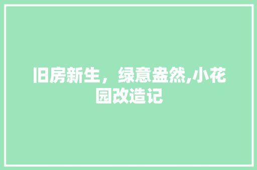 旧房新生，绿意盎然,小花园改造记