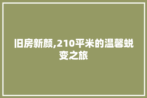 旧房新颜,210平米的温馨蜕变之旅 汽车维修