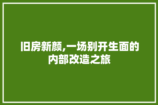 旧房新颜,一场别开生面的内部改造之旅 汽车维修