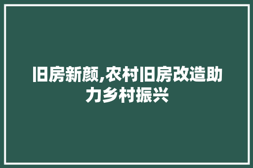 旧房新颜,农村旧房改造助力乡村振兴 家电维修