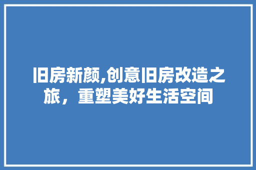 旧房新颜,创意旧房改造之旅，重塑美好生活空间 厨房维修