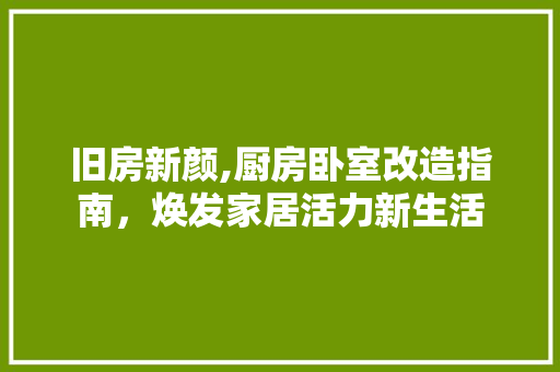 旧房新颜,厨房卧室改造指南，焕发家居活力新生活 厨房维修