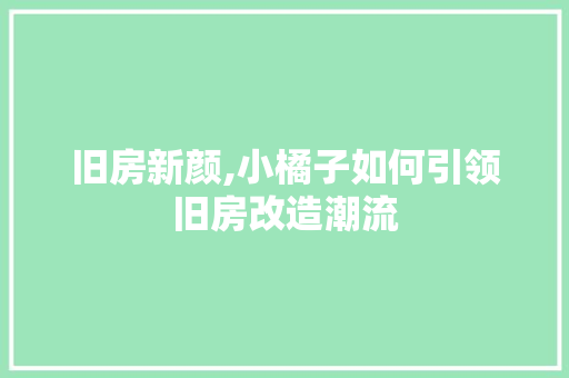 旧房新颜,小橘子如何引领旧房改造潮流 综合便民