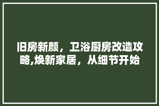 旧房新颜，卫浴厨房改造攻略,焕新家居，从细节开始 厨房维修