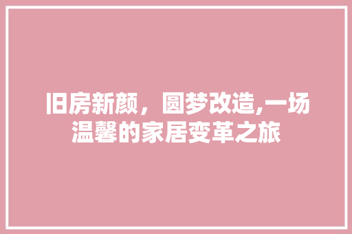 旧房新颜，圆梦改造,一场温馨的家居变革之旅 综合便民