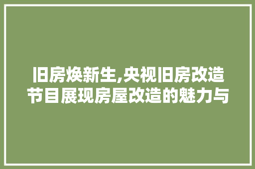 旧房焕新生,央视旧房改造节目展现房屋改造的魅力与智慧 厨房维修