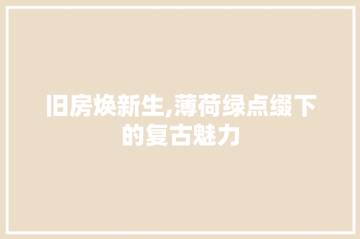旧房焕新生,薄荷绿点缀下的复古魅力 汽车维修