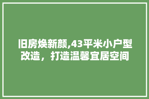 旧房焕新颜,43平米小户型改造，打造温馨宜居空间 综合便民