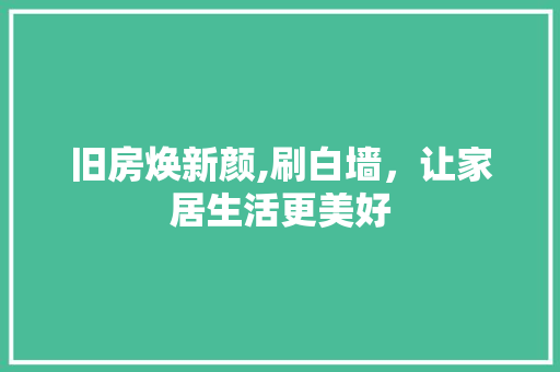 旧房焕新颜,刷白墙，让家居生活更美好 综合便民
