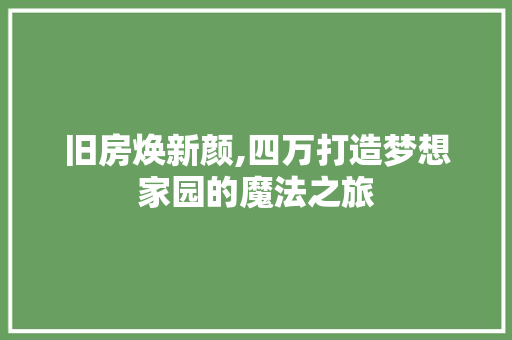 旧房焕新颜,四万打造梦想家园的魔法之旅 墙体维修