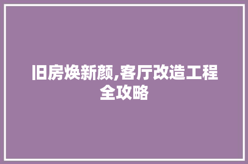 旧房焕新颜,客厅改造工程全攻略 综合便民