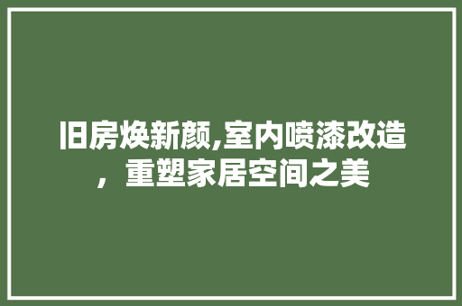 旧房焕新颜,室内喷漆改造，重塑家居空间之美 家电维修