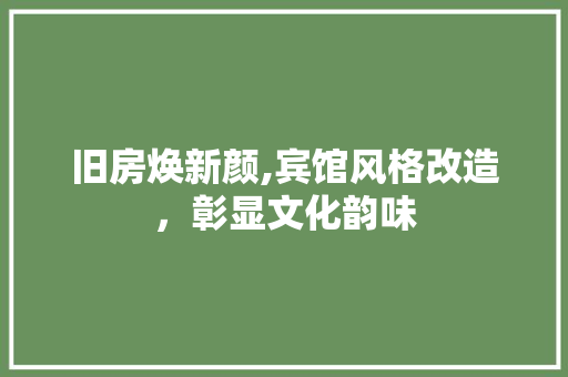 旧房焕新颜,宾馆风格改造，彰显文化韵味 综合便民