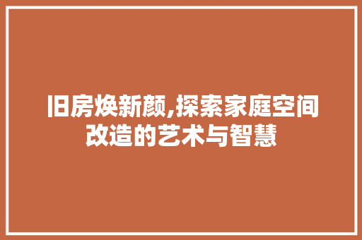 旧房焕新颜,探索家庭空间改造的艺术与智慧 厨房维修
