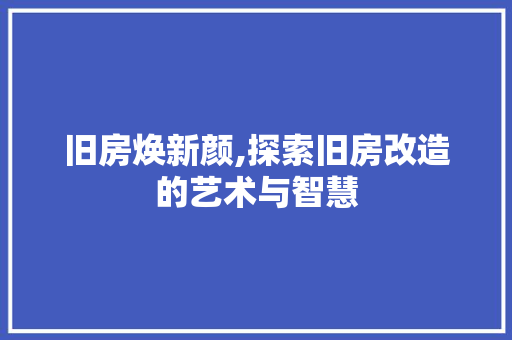 旧房焕新颜,探索旧房改造的艺术与智慧 墙体维修