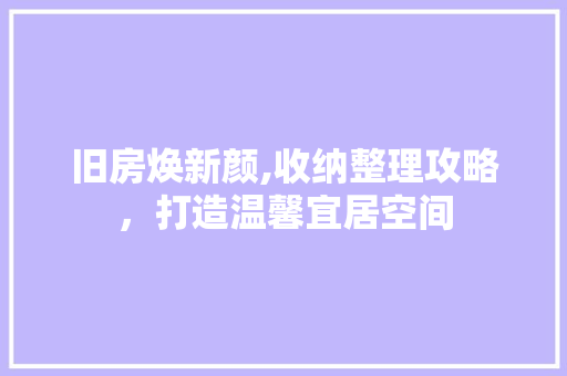 旧房焕新颜,收纳整理攻略，打造温馨宜居空间 厨房维修