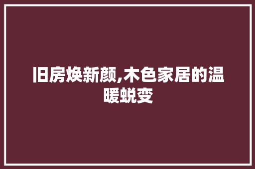 旧房焕新颜,木色家居的温暖蜕变 厨房维修