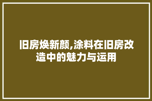 旧房焕新颜,涂料在旧房改造中的魅力与运用 厨房维修