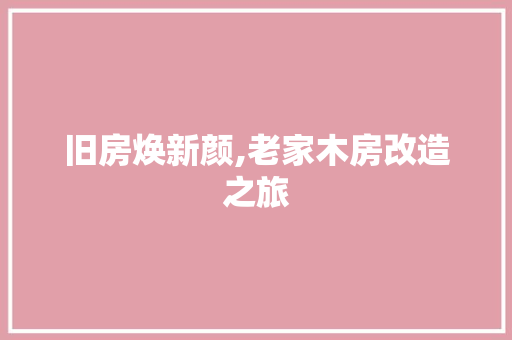 旧房焕新颜,老家木房改造之旅 厨房维修