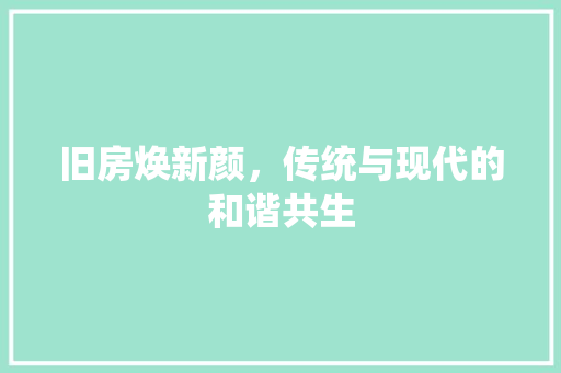 旧房焕新颜，传统与现代的和谐共生