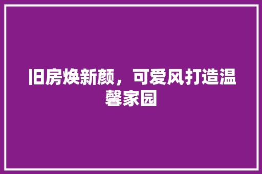 旧房焕新颜，可爱风打造温馨家园 厨房维修