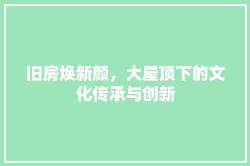 旧房焕新颜，大屋顶下的文化传承与创新 综合便民