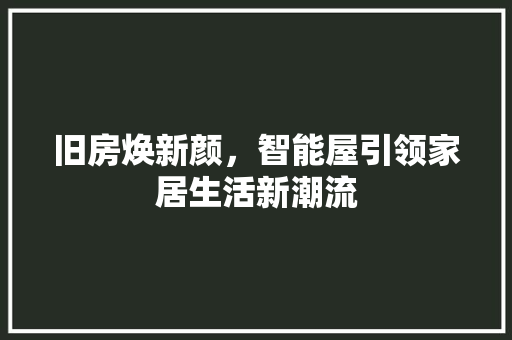 旧房焕新颜，智能屋引领家居生活新潮流 综合便民
