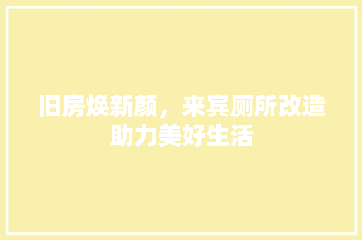 旧房焕新颜，来宾厕所改造助力美好生活 墙体维修