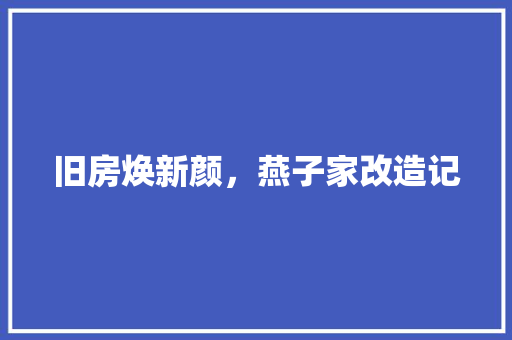 旧房焕新颜，燕子家改造记 综合便民