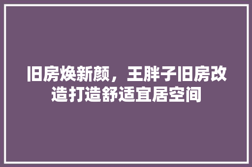 旧房焕新颜，王胖子旧房改造打造舒适宜居空间
