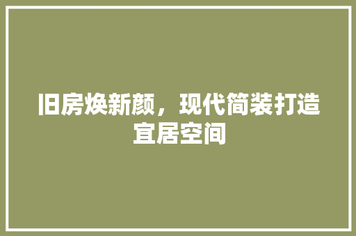 旧房焕新颜，现代简装打造宜居空间