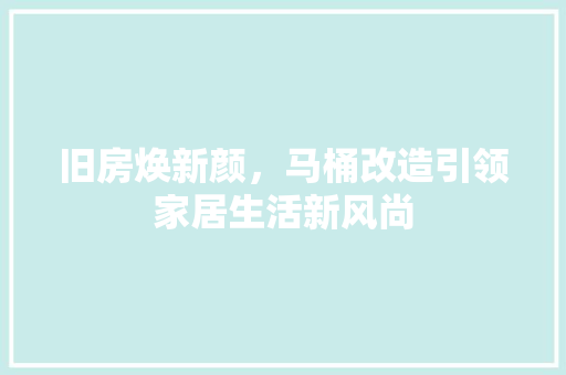旧房焕新颜，马桶改造引领家居生活新风尚 厨房维修