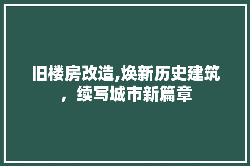 旧楼房改造,焕新历史建筑，续写城市新篇章 汽车维修