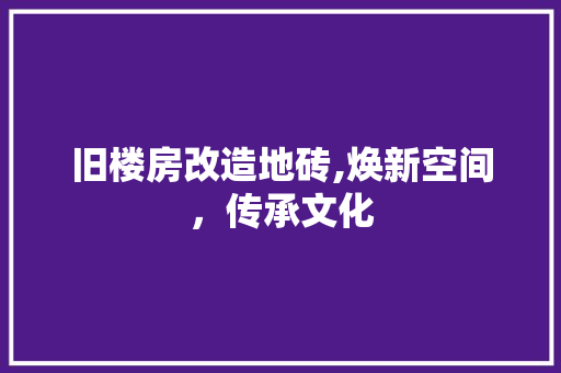 旧楼房改造地砖,焕新空间，传承文化