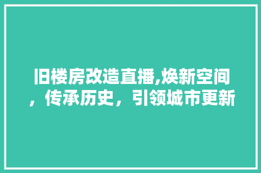 旧楼房改造直播,焕新空间，传承历史，引领城市更新潮流