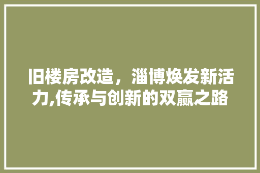 旧楼房改造，淄博焕发新活力,传承与创新的双赢之路
